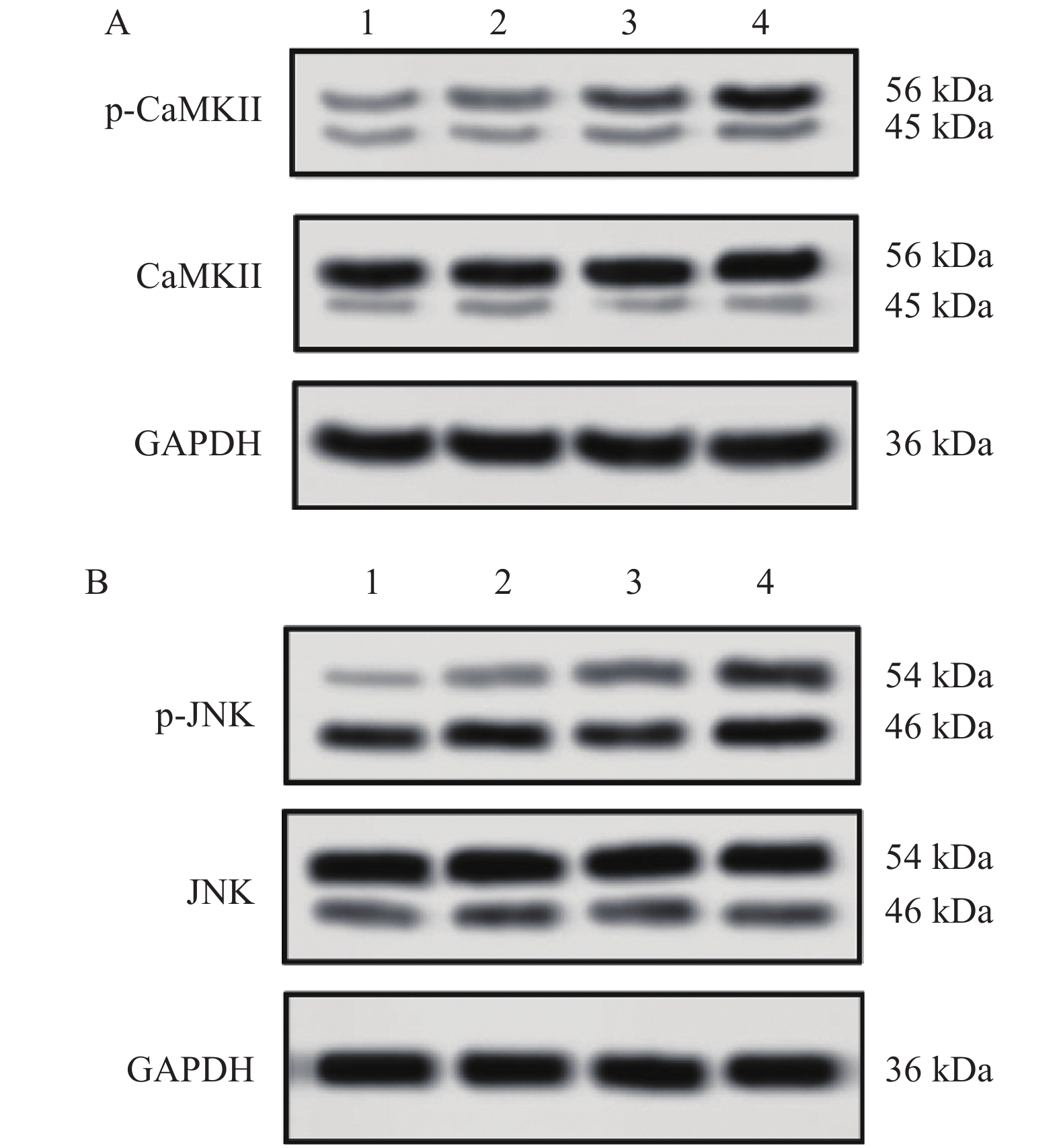 王者kpl竞猜平台 -)靿b2k呴&amp;秈(22k和32k有什么区别)